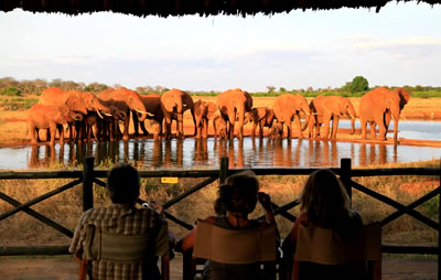Viewing Elephants at Voi Wildlife Lodge  - Tsavo East National Park, Kenya